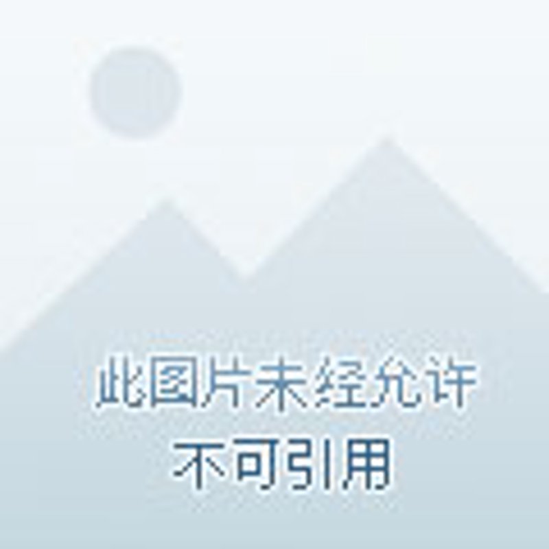 卓尼公司的未来之路：一次深度研究